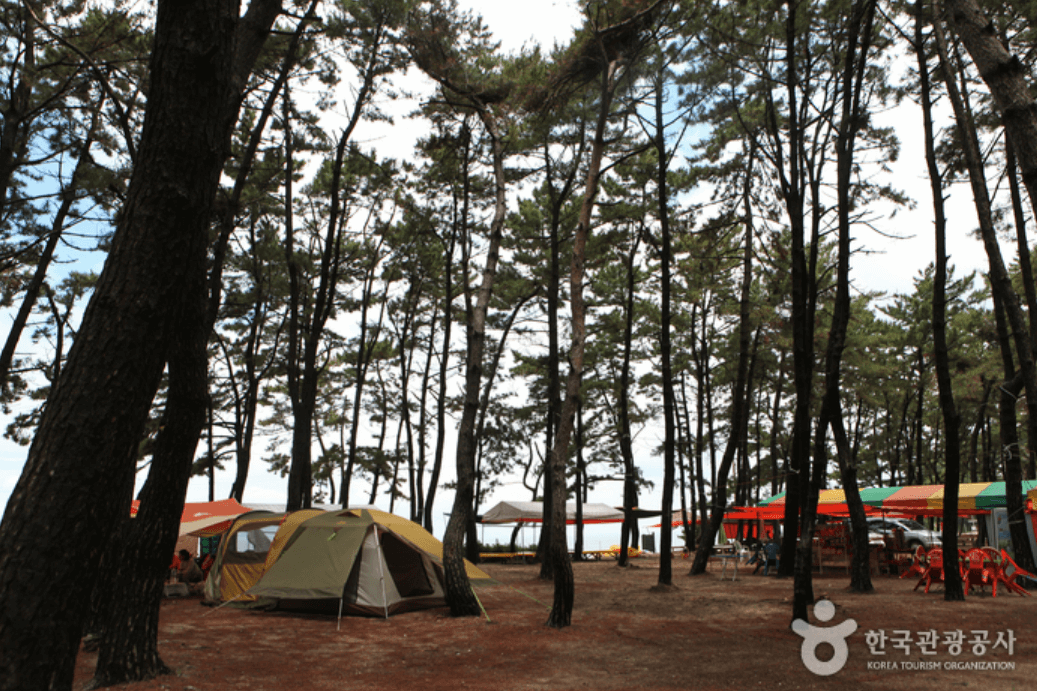 고사포해수욕장 (부안군)