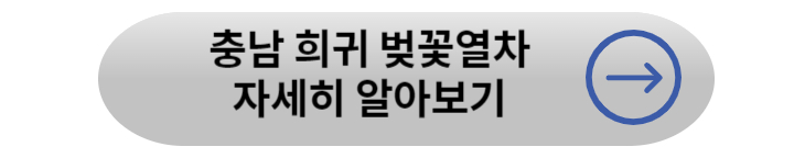봄꽃 기차여행 (벚꽃기차)코스 및 금액 정리