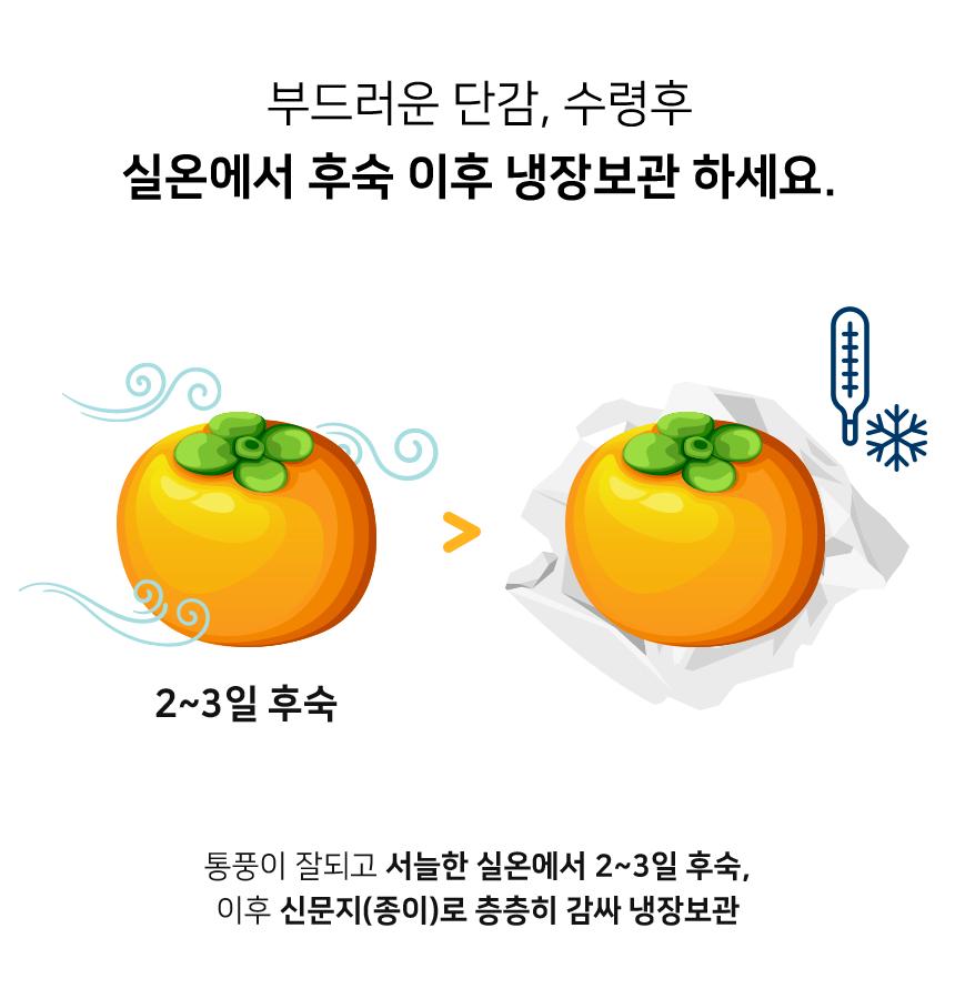 단감을 오래 보관하는 방법