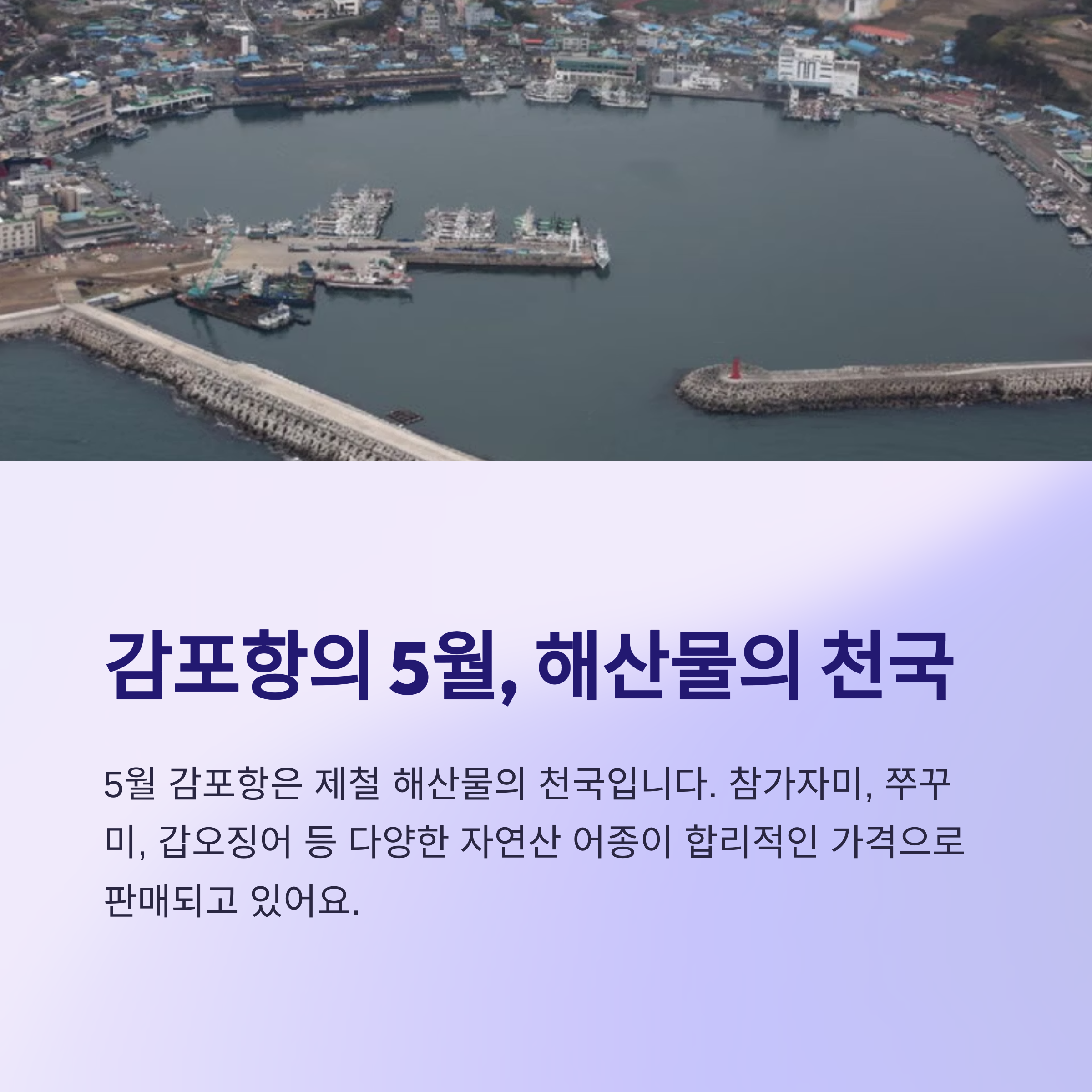감포항의 5월, 해산물의 천국