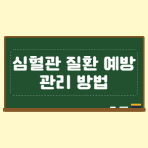 심혈관 질환 예방과 관리 방법