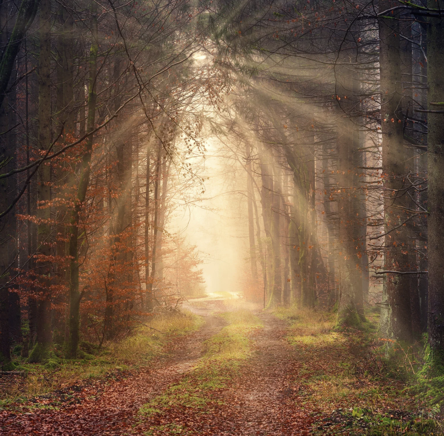 인스타 아이디 추천