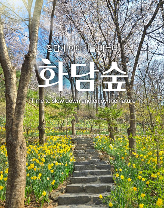 2025년 화담숲 벚꽃 예약, 달라진 방법관련 글의 사진자료 1