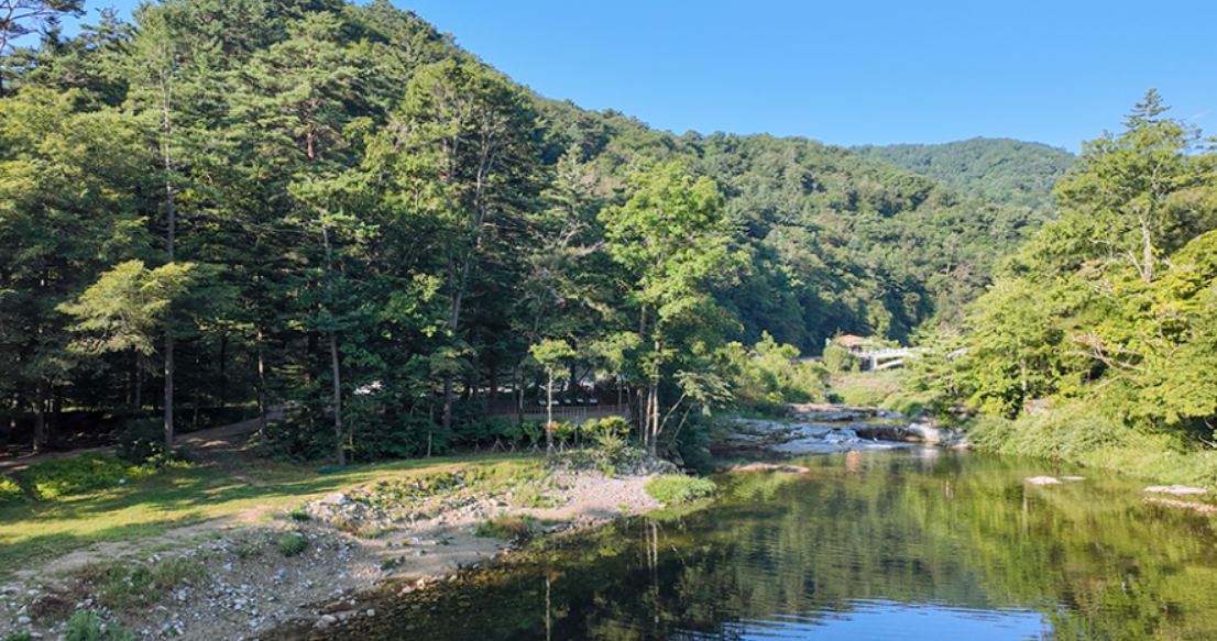 오대산 월정사 전나무 숲길