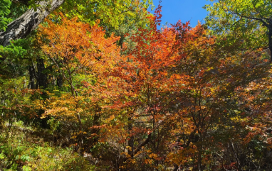 설악산-단풍
