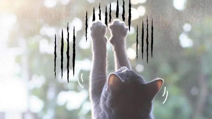 &amp;quot;고양이
