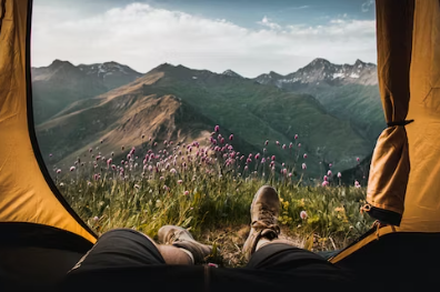 캠핑장 창업에 대하여 알아보기