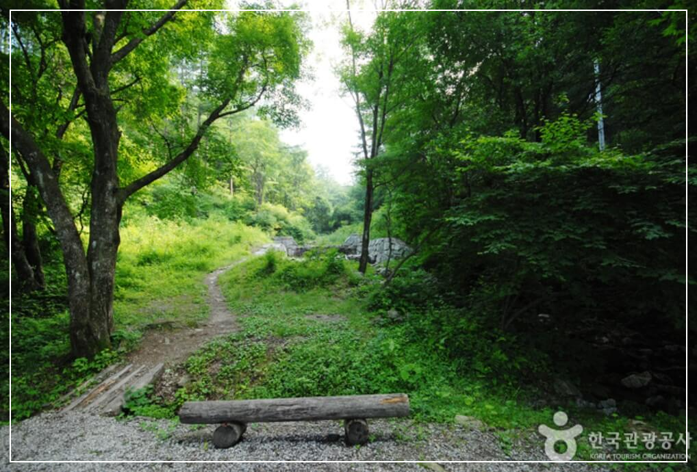 양평 가볼만한곳 베스트10 중미산 자연휴양림