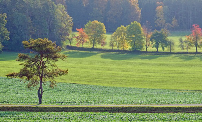 대도시 탈출 후 소도시 생활 (적응기, 생활리듬, 변화)