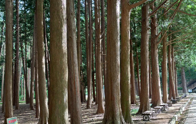 양산 법기수원지