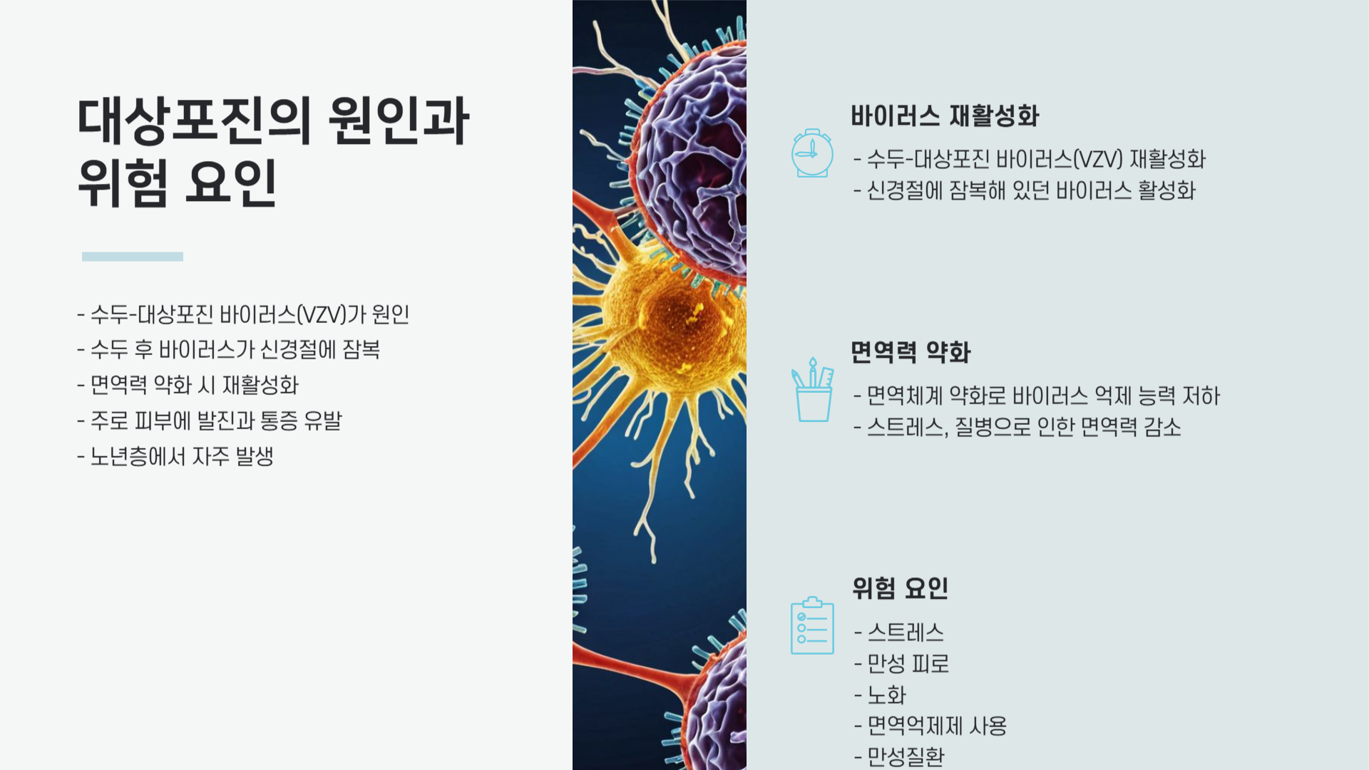 대상포진 증상과 전염성 꼭 알아야 할 정보