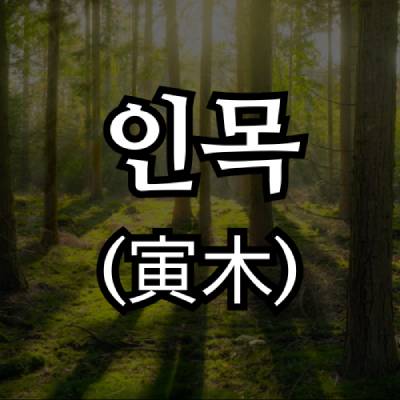 인목(寅木) 지지
