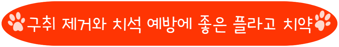 구취 제거와 치석 예방에 좋은 플라고 치약