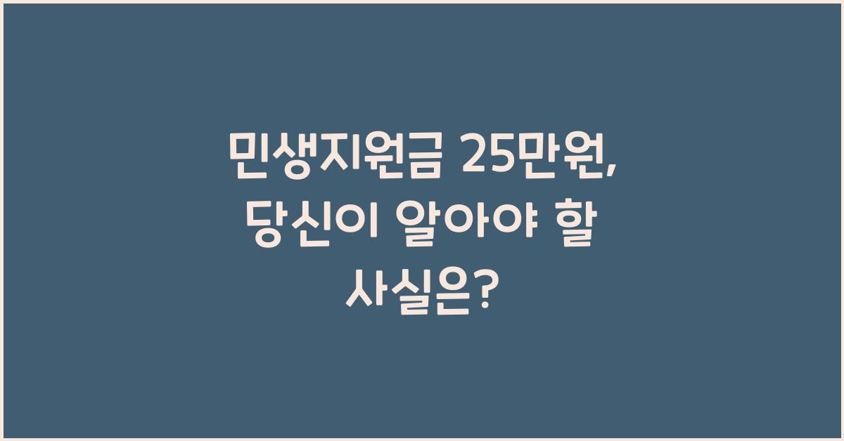 민생지원금 25만원