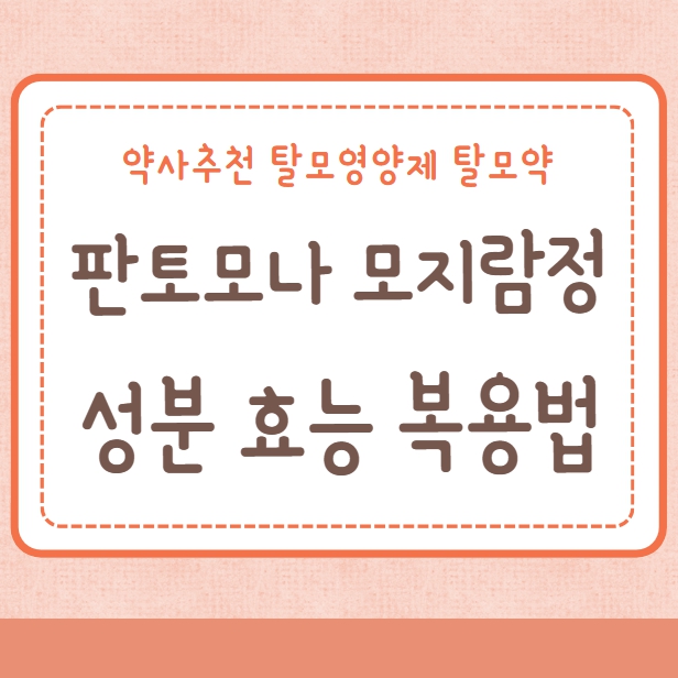 판토모나 모지람정 성분 효능