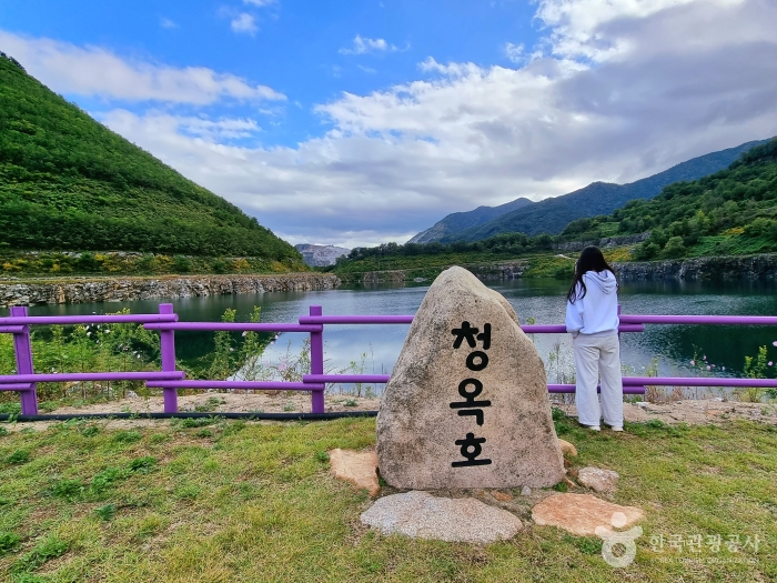 자주 묻는 질문 (FAQ)