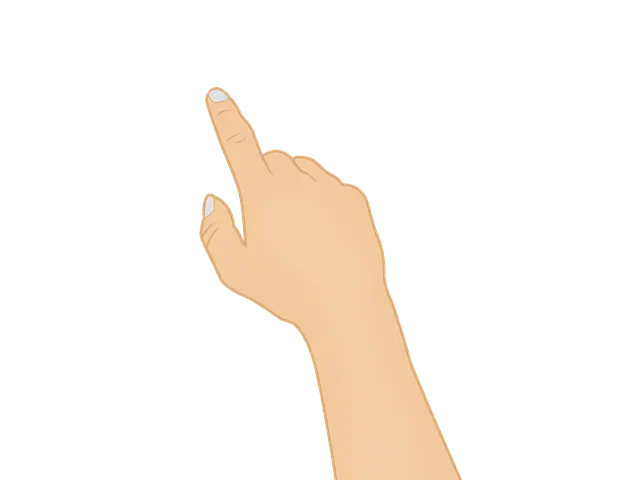핑프 뜻