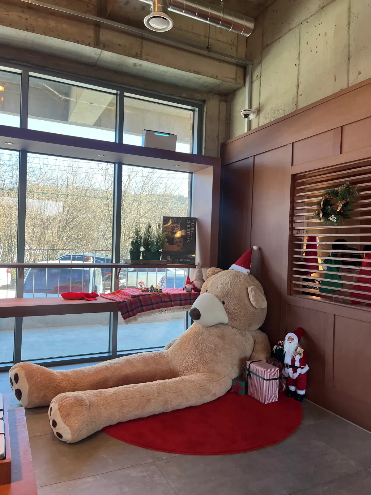 테디스로드 내부 곰인형