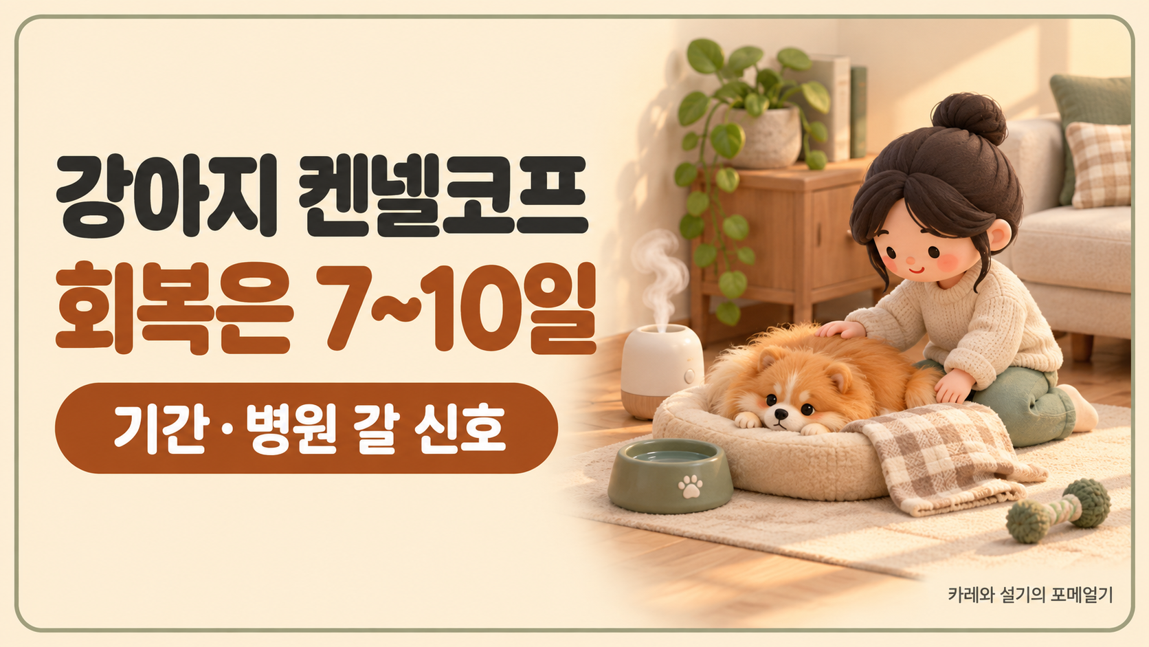 켄넬코프 회복 기준 대표