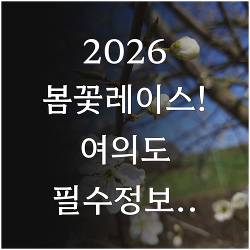 2026 서울 봄꽃 레이스 여의도 한..