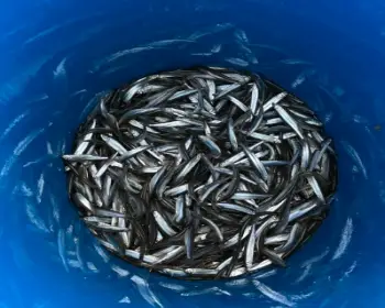 양평 산수유마을 빙어축제_20