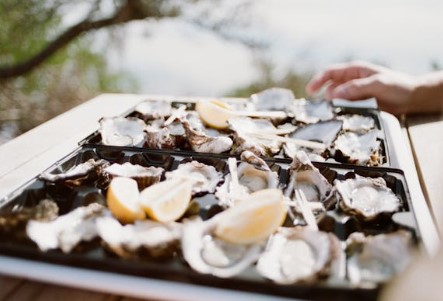 겨울 제철 해산물 굴 추천 굴 효능 활용법