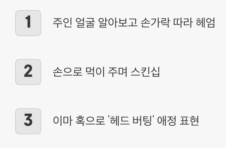 교감 - 당신만을 알아보는 '워터독'