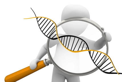 세포 분열의 종류와 특징
