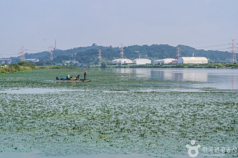 아산 가볼만한곳 베스트 10