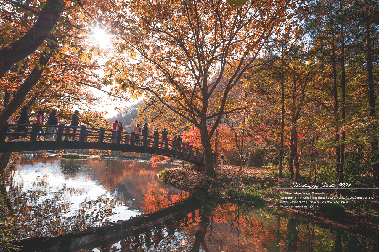 #가을 #단풍 #백양사 #장성 #쌍계루 #불교