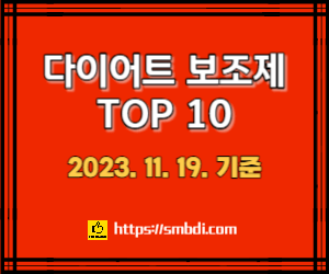 다이어트 보조제 순위 TOP 10(다이어트 약 추천)