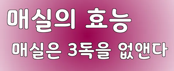 매실의 효능 매실은 3독을 없앤다