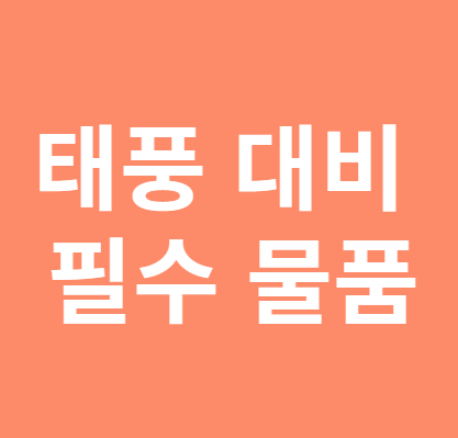 태풍대비 필수물품