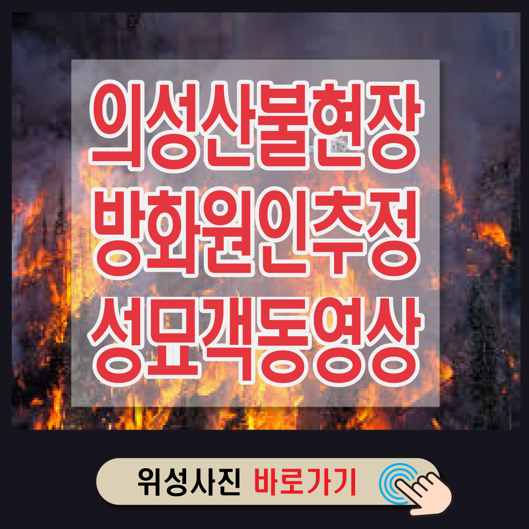 의성산불추정원성묘객동영상-썸네일