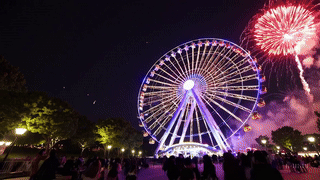 구례여행, 산수유축제, 봄꽃축제, 구례산동마을, 사진명소, 전라남도봄여행, 이끼돌담길, 구례포토스팟, 꽃개화시기, 가족봄나들이