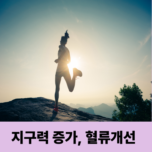 운동 효과 2배