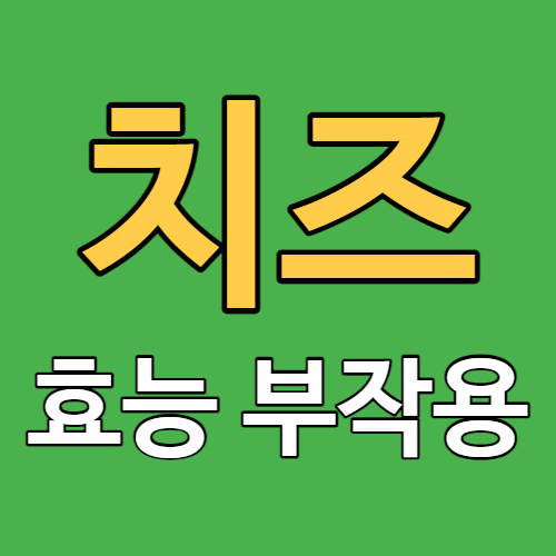 치즈 효능 부작용