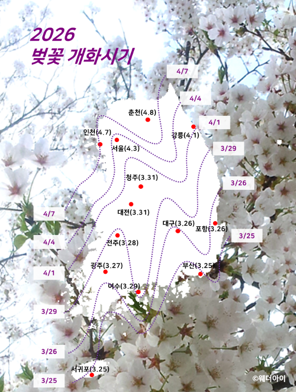 2026 벚꽃 개화시기 지도 전국