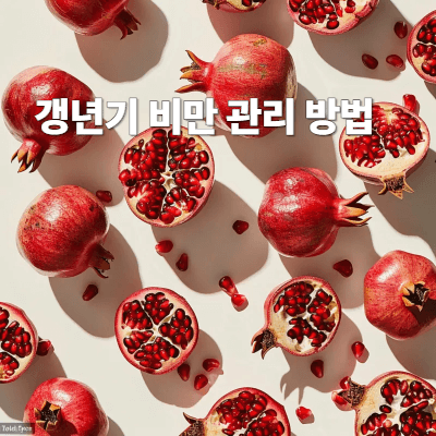 갱년기 비만 관리 방법