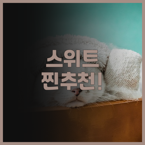 아카사 스위트 취리히 외를리콘 추천!..