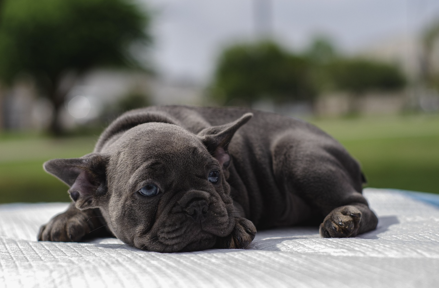 중계무역으로 이해하는 국제무역의 연결 구조