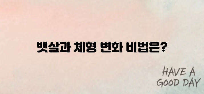 뱃살 빼는 최고의 방법으로 나의 체형을 바꿔봅시다