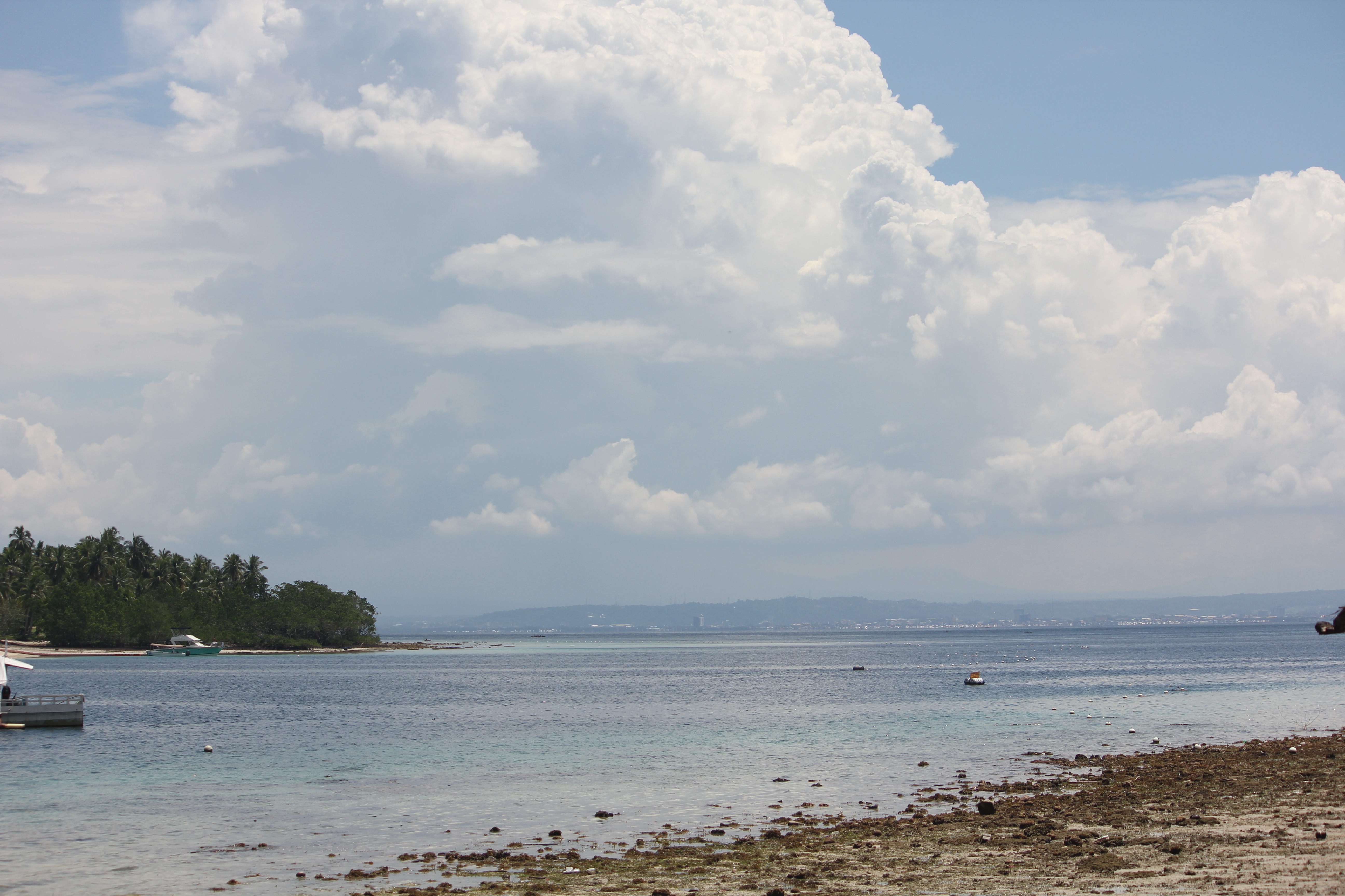 펄팜리조트가는길