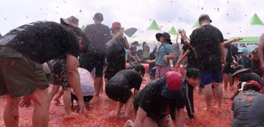 둔내고랭지토마토축제 관련 이미지