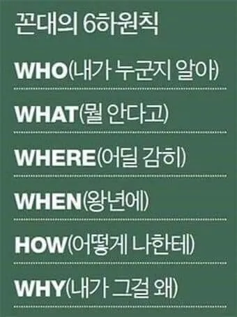 6하원칙 순서 글 작성 꿀팁 영어_5