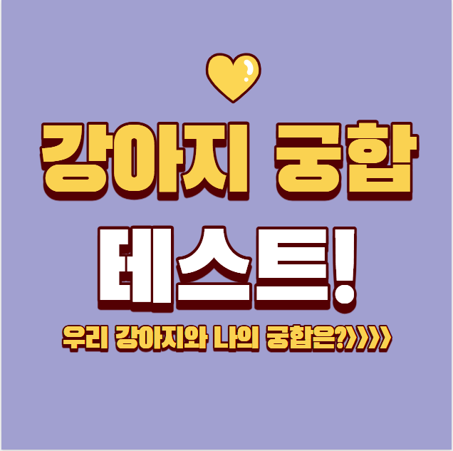 강아지 궁합 테스트! 내 반려견과 얼마나 잘 맞을까? 성향 진단 바로 해보기