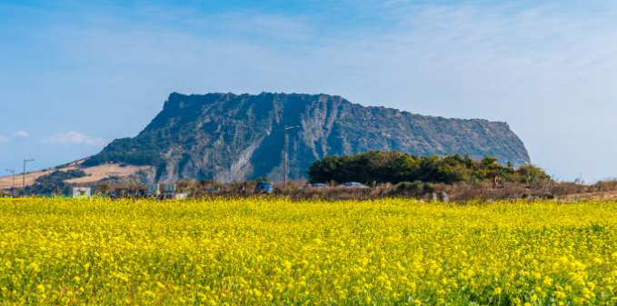 제주 렌트카 비교 싼곳 추천