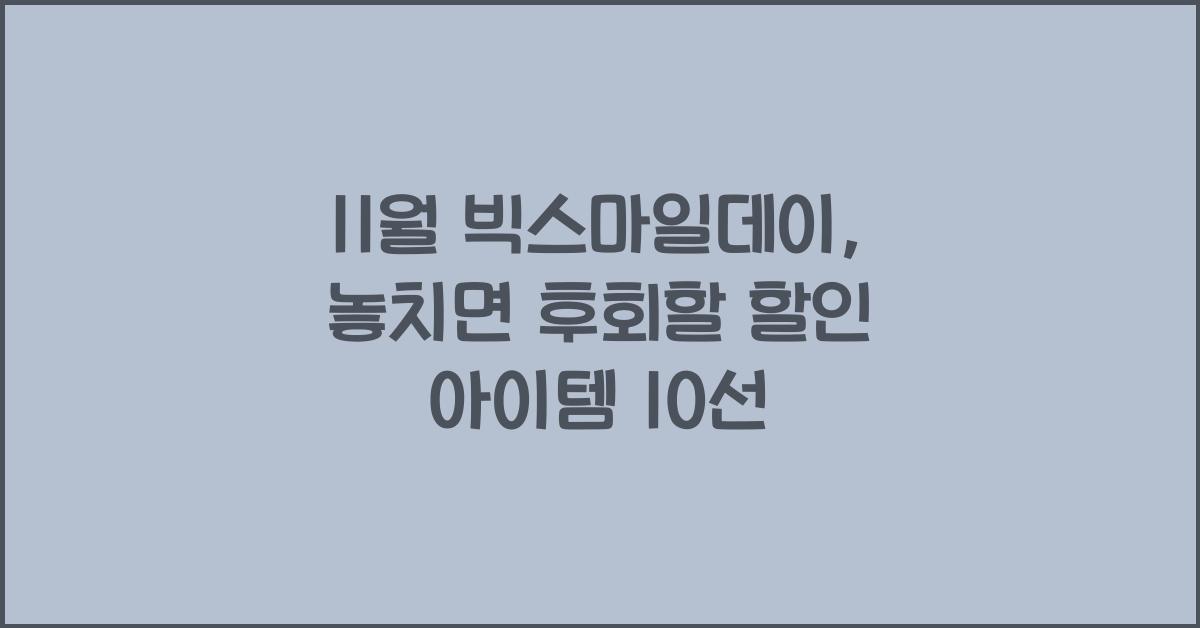 11월 빅스마일데이