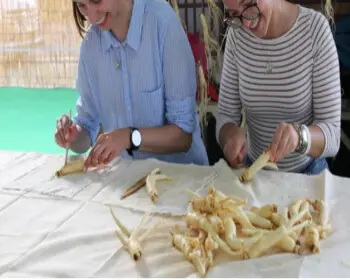 금산 인삼축제_15