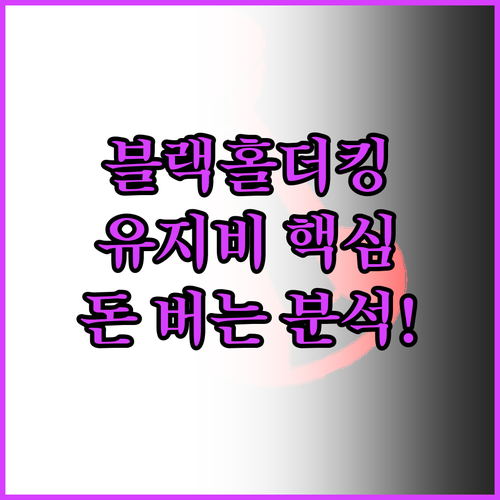 2025 업그레이드 블랙홀더킹 하이브..